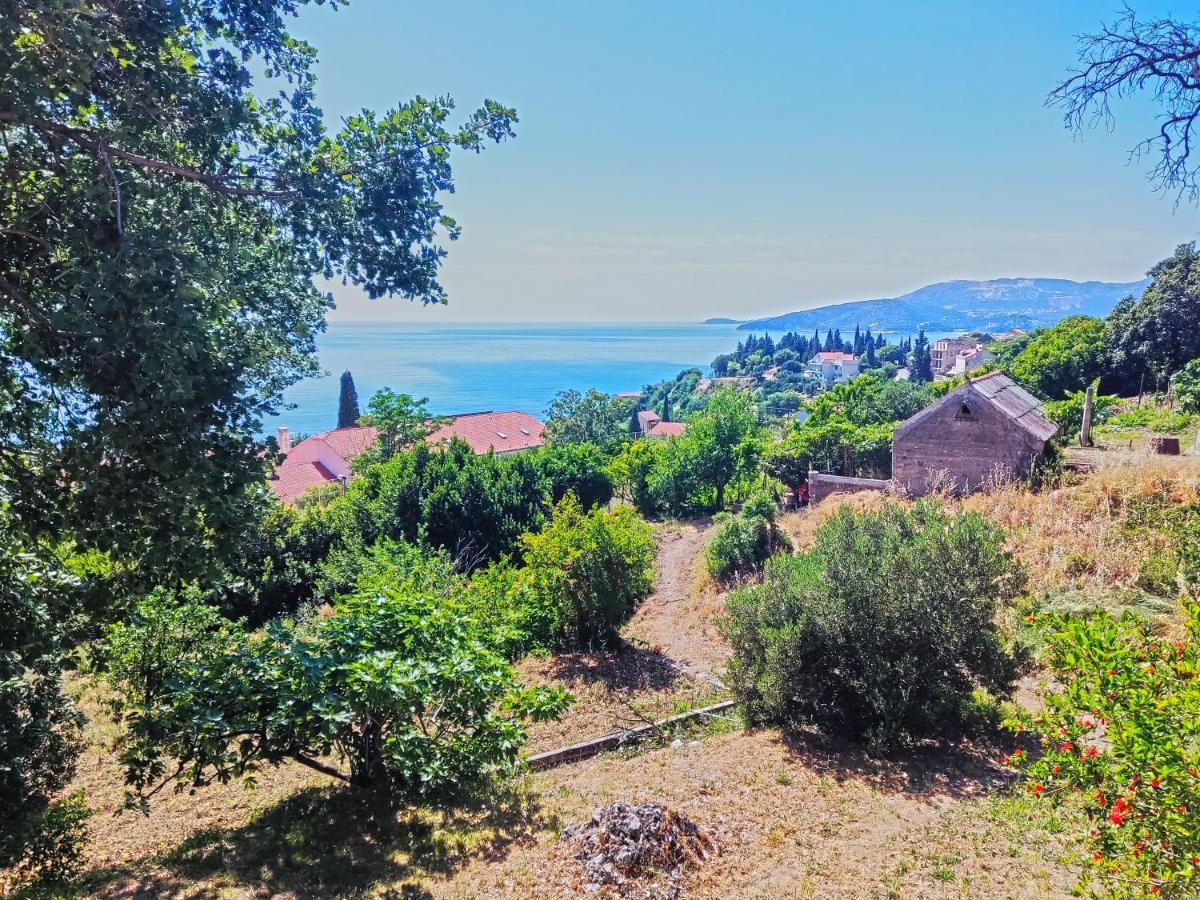 Dubrovnik Moonshine Apartment Mlini Εξωτερικό φωτογραφία