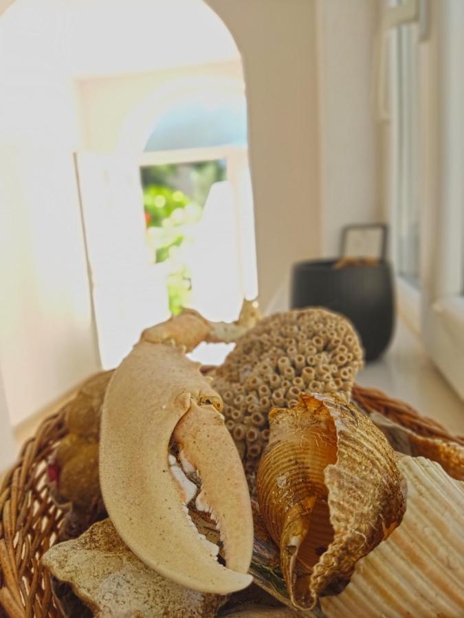 Dubrovnik Moonshine Apartment Mlini Εξωτερικό φωτογραφία
