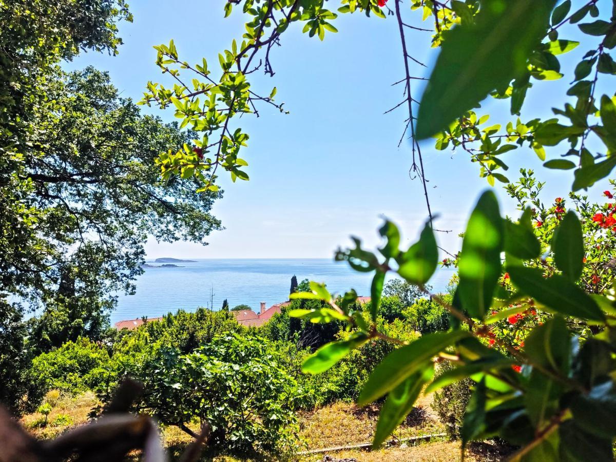 Dubrovnik Moonshine Apartment Mlini Εξωτερικό φωτογραφία