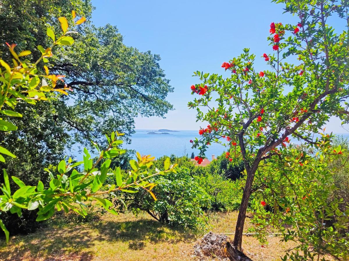 Dubrovnik Moonshine Apartment Mlini Εξωτερικό φωτογραφία